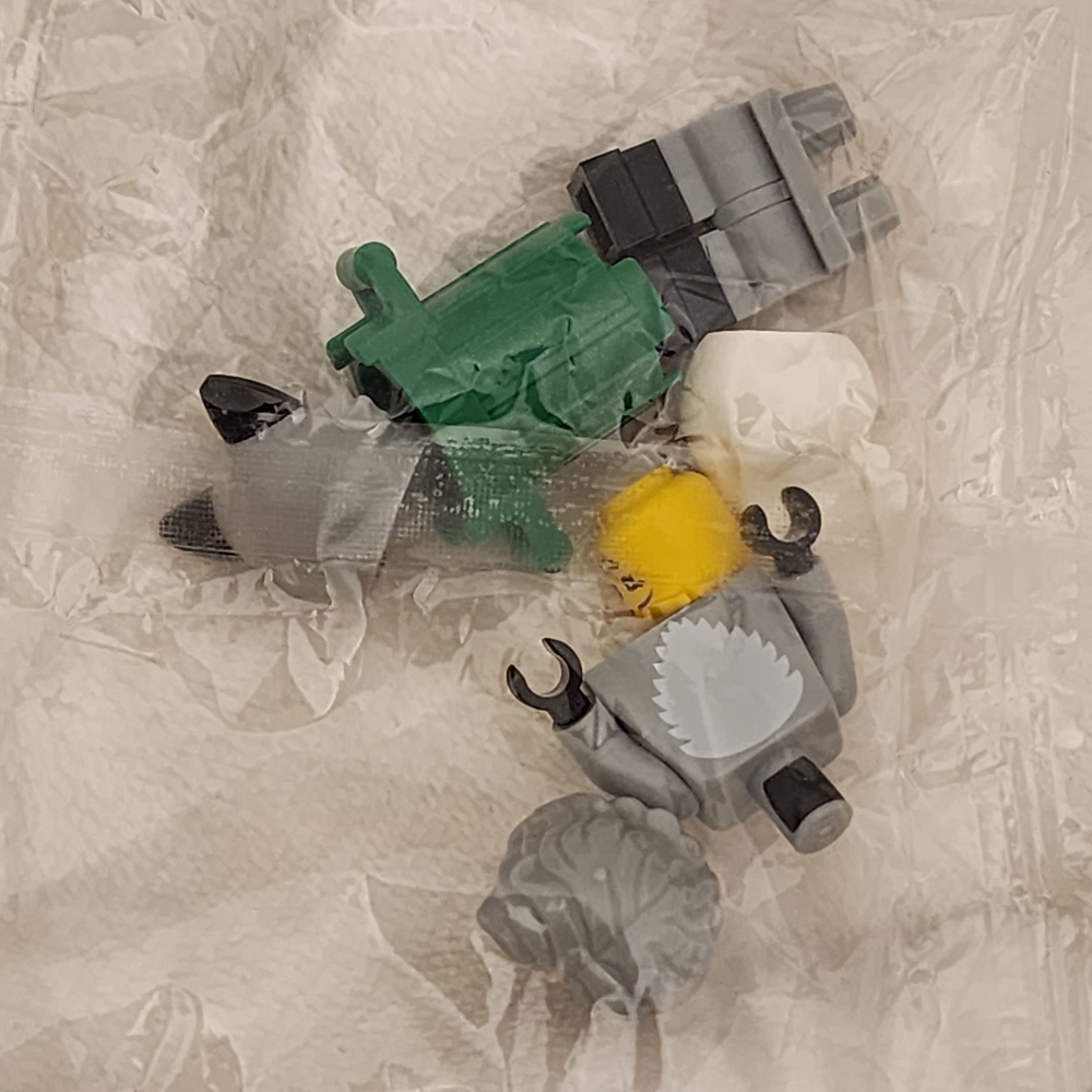 LEGO Minifigure Racoon - Picture 2 of 5